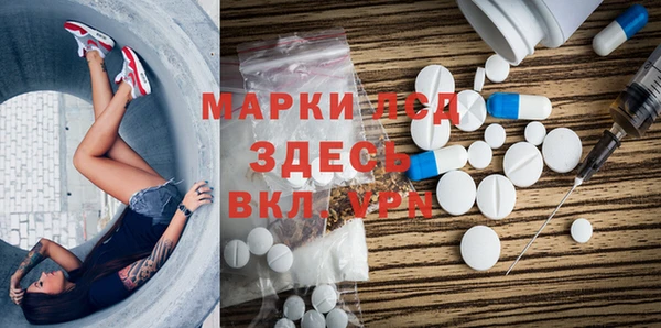 трава Карпинск