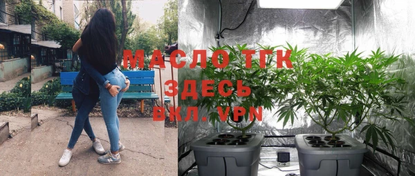 трава Карпинск