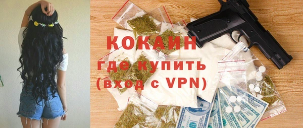 трава Карпинск