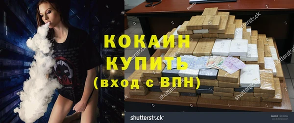 трава Карпинск