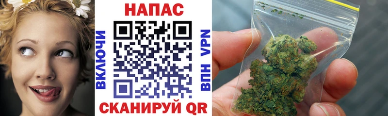 Конопля ГИДРОПОН  Купить  Феодосия 